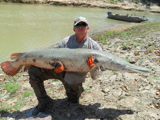 Alligator Gar Fishing, Alligator Gar Guide, Texas Guided Gar Fishing