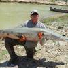 6'9" Lunch time gator gar. 